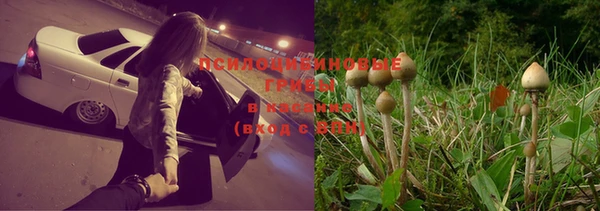 гашик Куйбышев