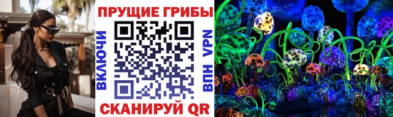 Купить  Ильский  Псилоцибиновые грибы прущие грибы 