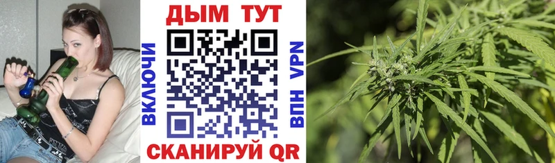 Шишки марихуана планчик  Купить закладки  Ильский 